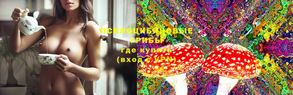 PSILOCYBIN Армянск