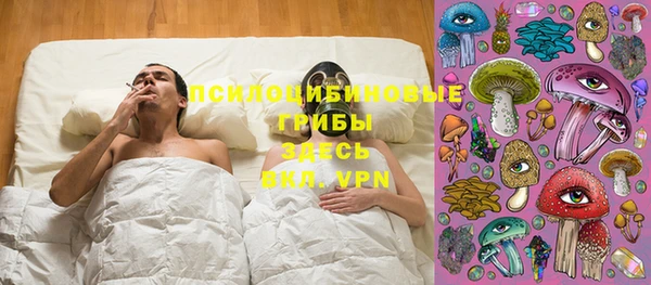 PSILOCYBIN Армянск