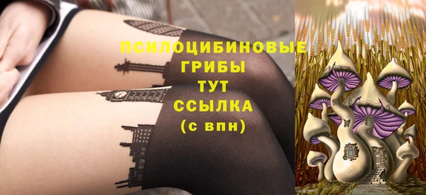 PSILOCYBIN Армянск